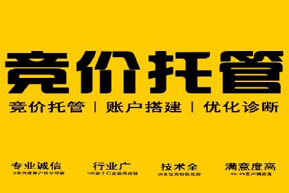 SEM竞价优化技巧：案例解析提升广告投放效果